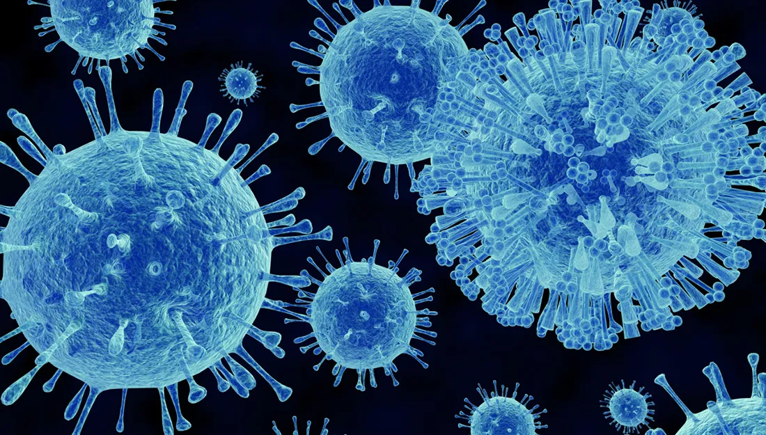 Norovirus