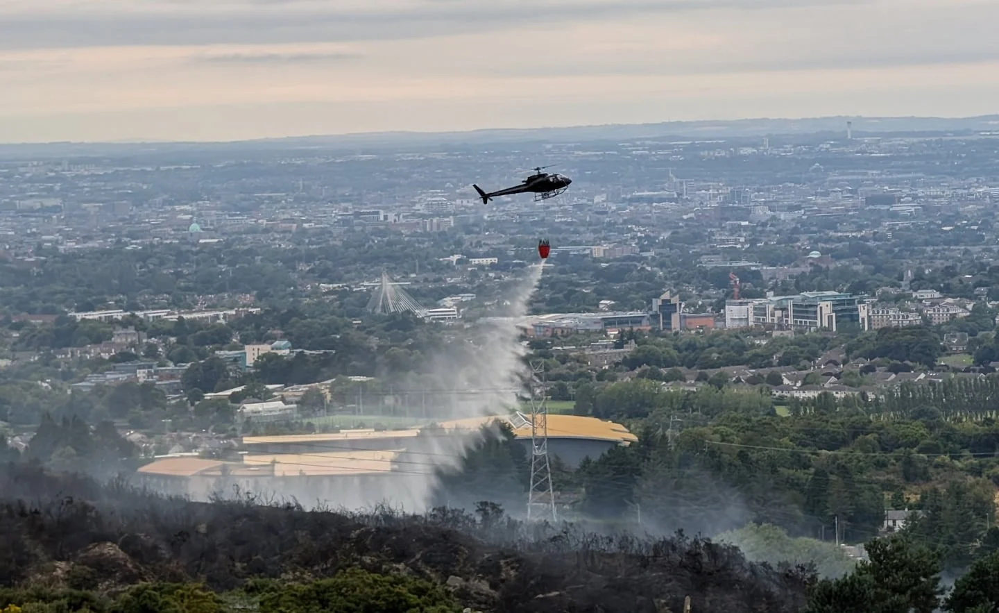 Gorse Fire in Sandyford Extinguished with Support from Coillte Helicopter, 4,000 Homes Impacted