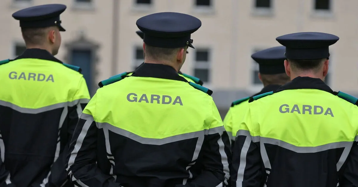 Primary School in Dublin Closes Due to Security Alert