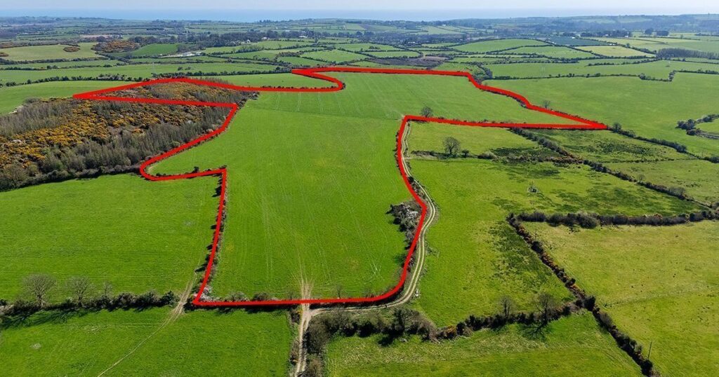 45-acre Waterford land parcel priced at €500,000