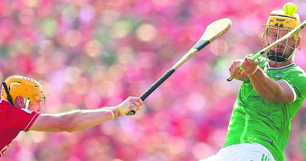 Anthony Daly: Rebels will hunt and fight but it may not be enough