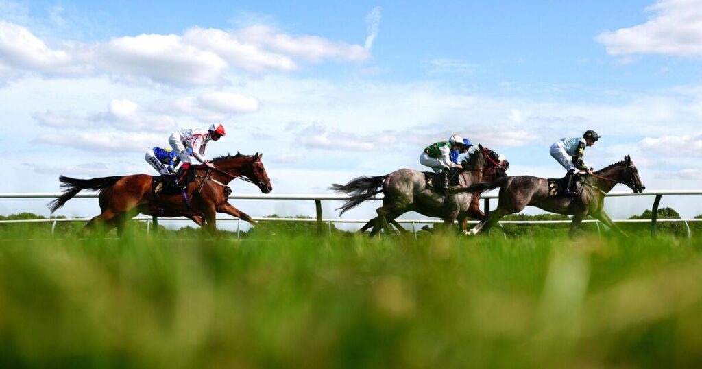 Argentine Tango waltzes to Newmarket success