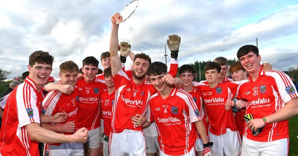 Beara forced to concede Cork PSFC colleges/divisions fixture against Duhallow