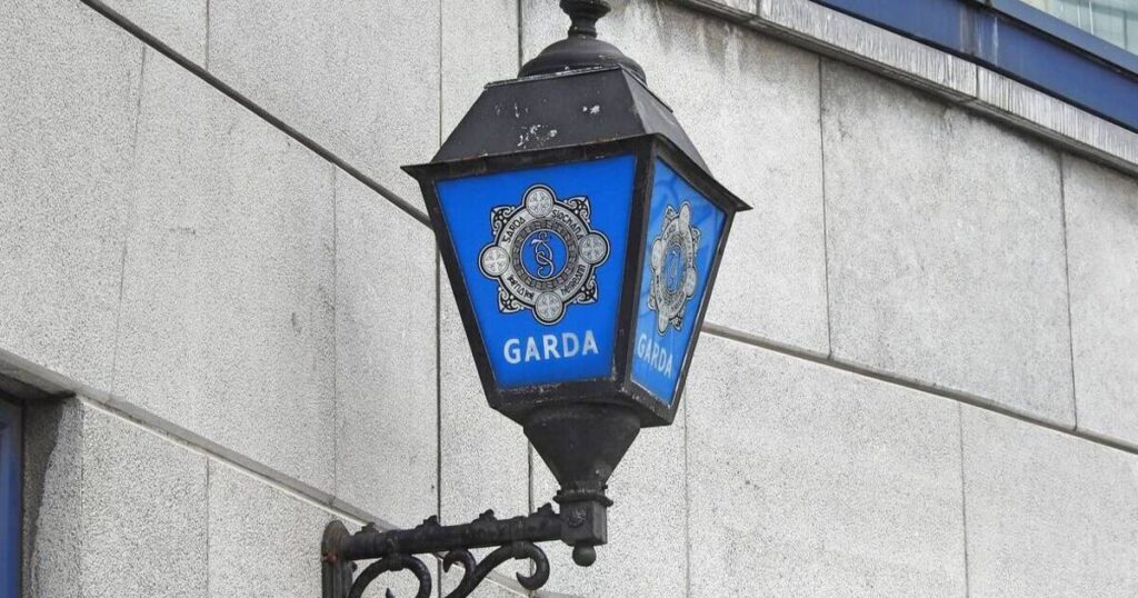 Boy, 17, dies after getting into difficulty while swimming in Carlow 