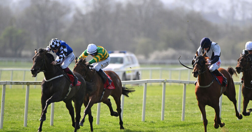 Bubble Gum can see off Munster Oaks rivals at Cork 