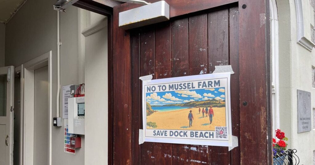 Councillors to object to minister's order for mussel farm the size of 12 GAA pitches in Kinsale Harbour