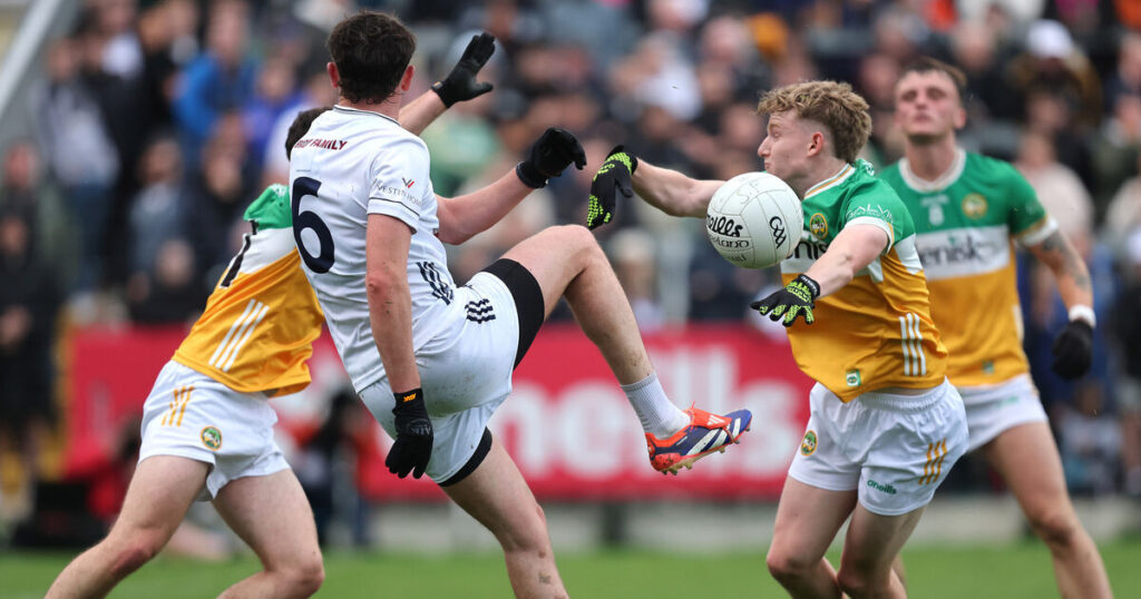 David Hyland: 'We were sick to our teeth over Leinster'