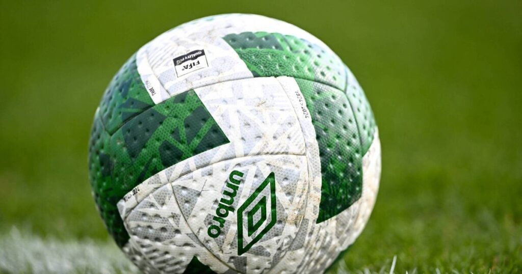 Full committee of Limerick football league 'stood down' by FAI