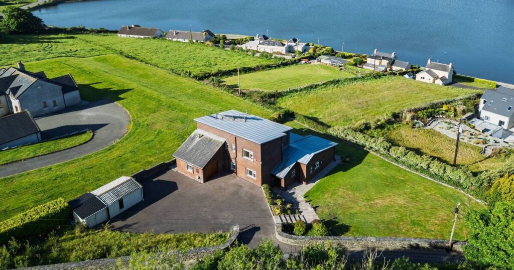 Go to bat and  batter in West Cork hotspot Rosscarbery