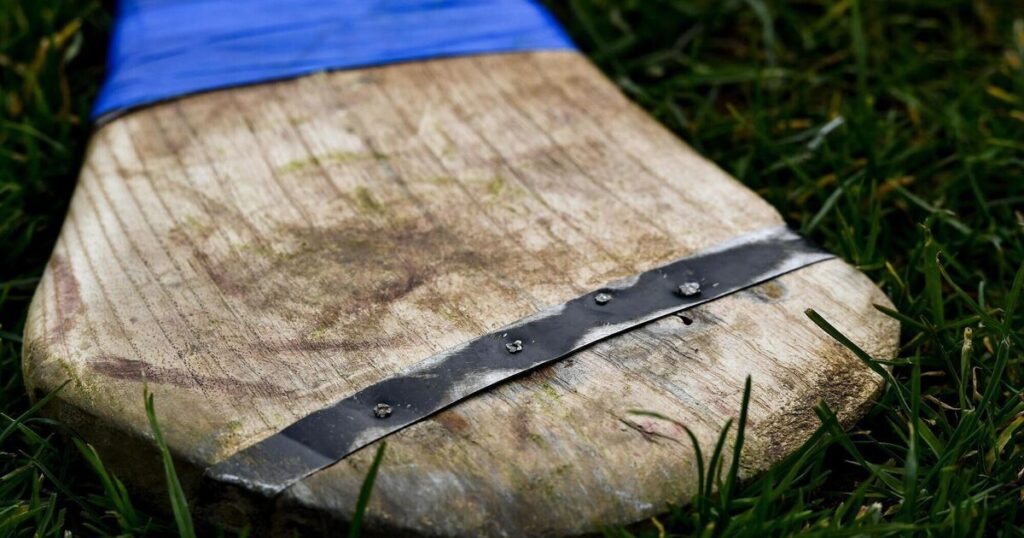 Good news for hurley makers as ash trees evolving resistance to dieback, new study reveals