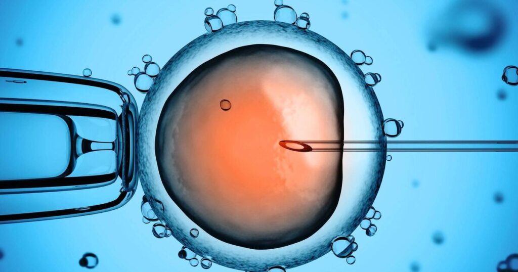 Half of those interested in starting a family are worried about their fertility — or their partner’s