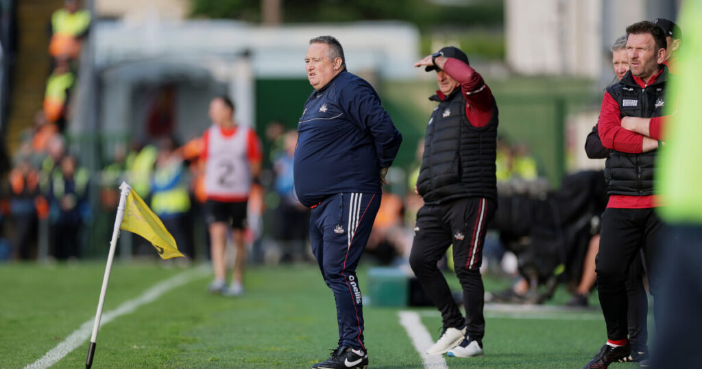 'It was an honour for us to come up here and fight'