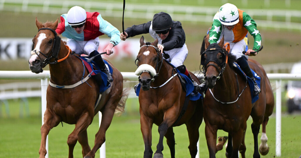 Keane and Browne McMonagle double up at Limerick 