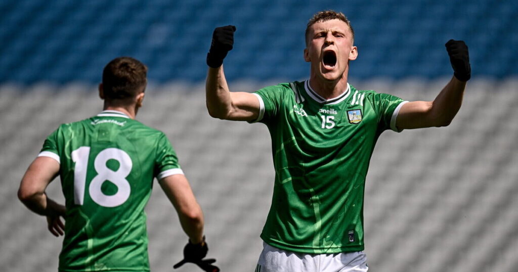 Limerick GAA reschedule club games after reaching Tailteann Cup final