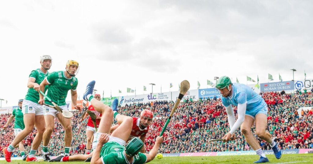 Limerick now a normal team but definitely not an ordinary team