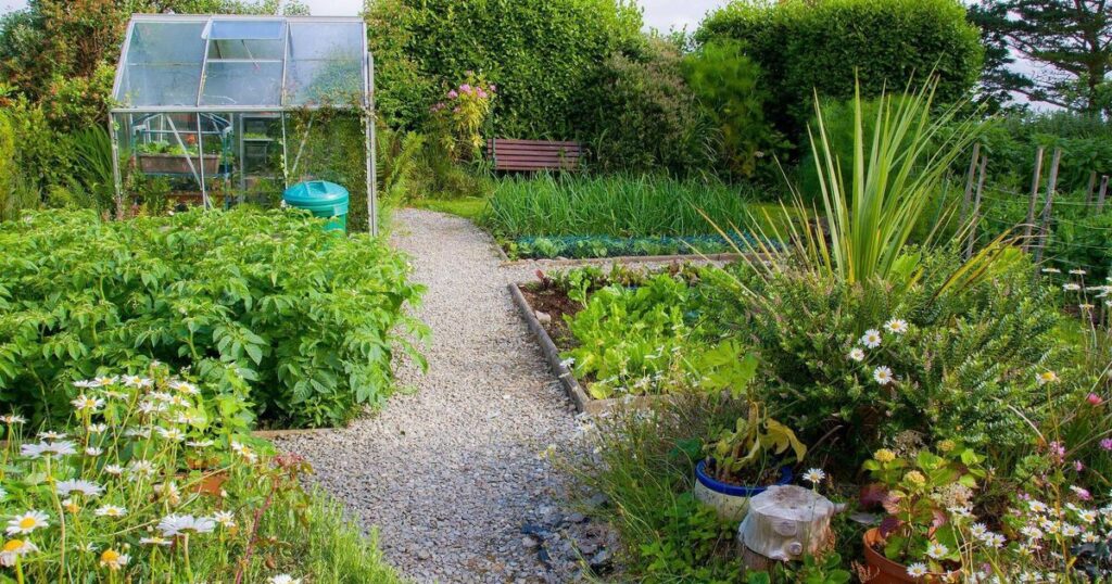 More allotments wanted — there's a 2-3 year waiting list in Cork