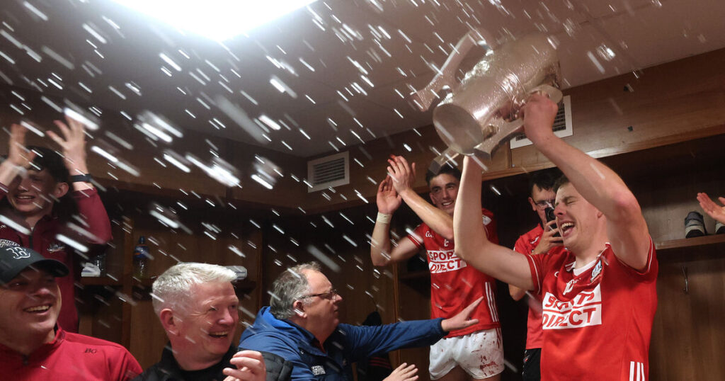Player ratings: how Cork and Limerick fared in Munster final epic