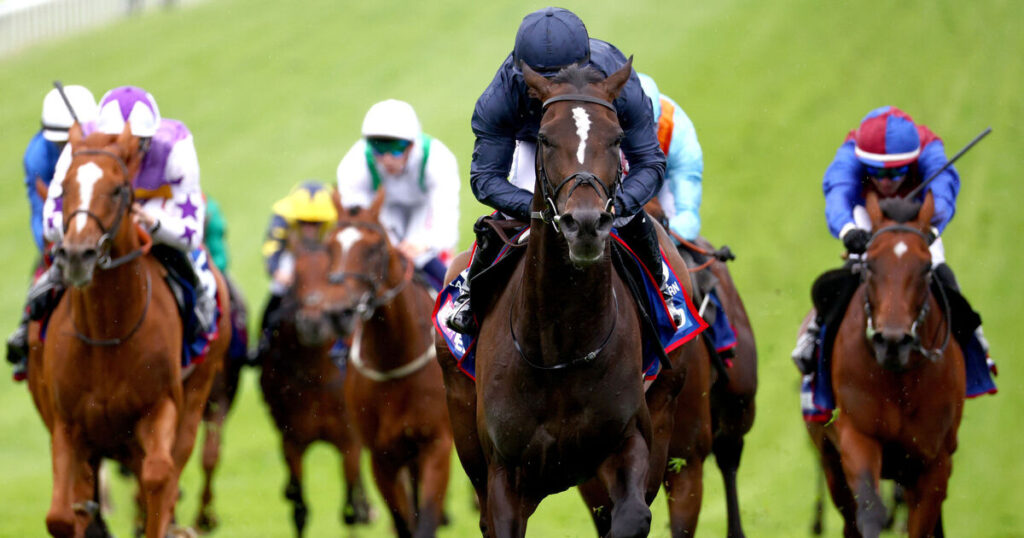 Tennessee Stud and Lambourn could have rematch at the Curragh