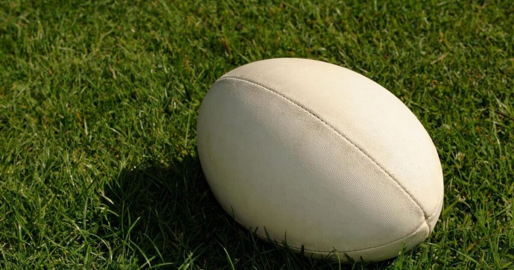 Top 14: Grenoble slump to third promotion-relegation play-off loss in a row against gamely Perpignan