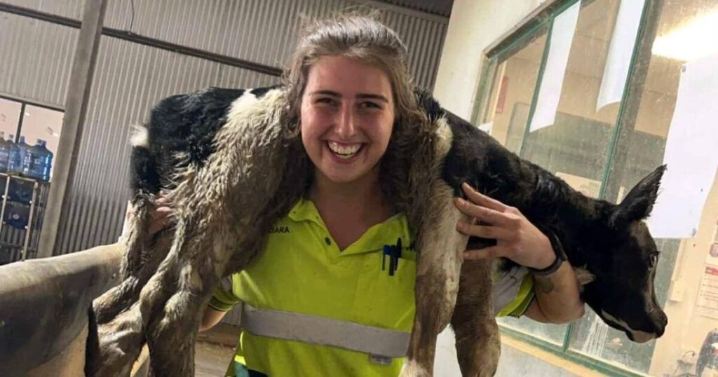Young Irish farmers back from Down Under