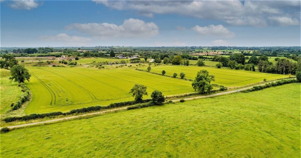 327-acre Westmeath farm makes almost €8m under the hammer