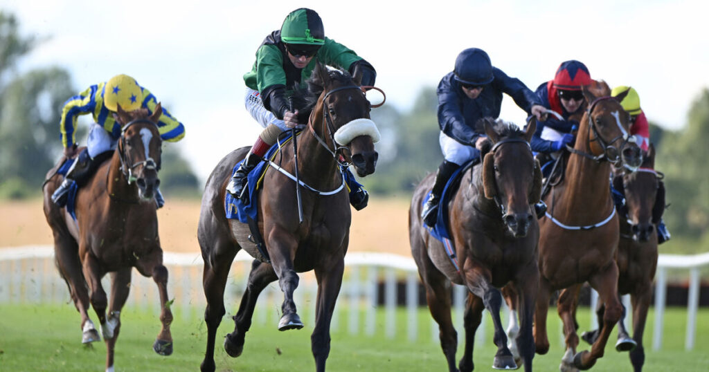 Arugam Bay puts rivals to the sword