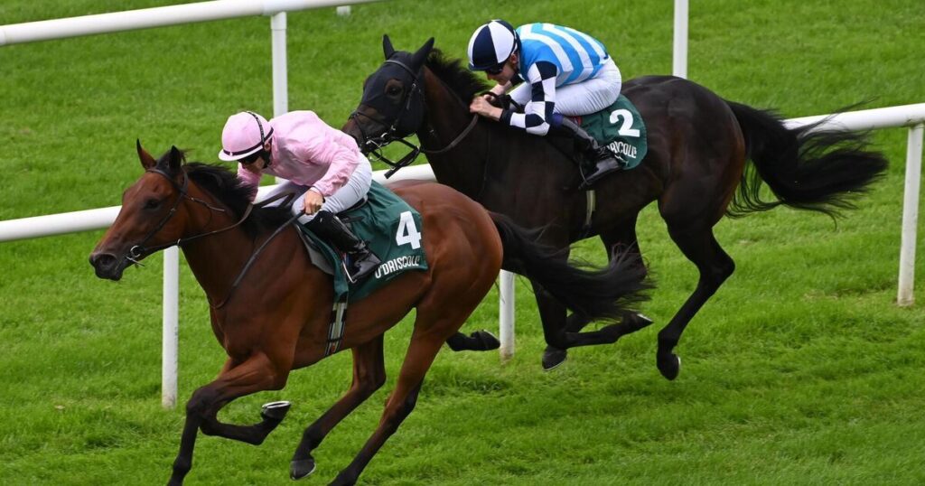 Composing out to build on maiden success