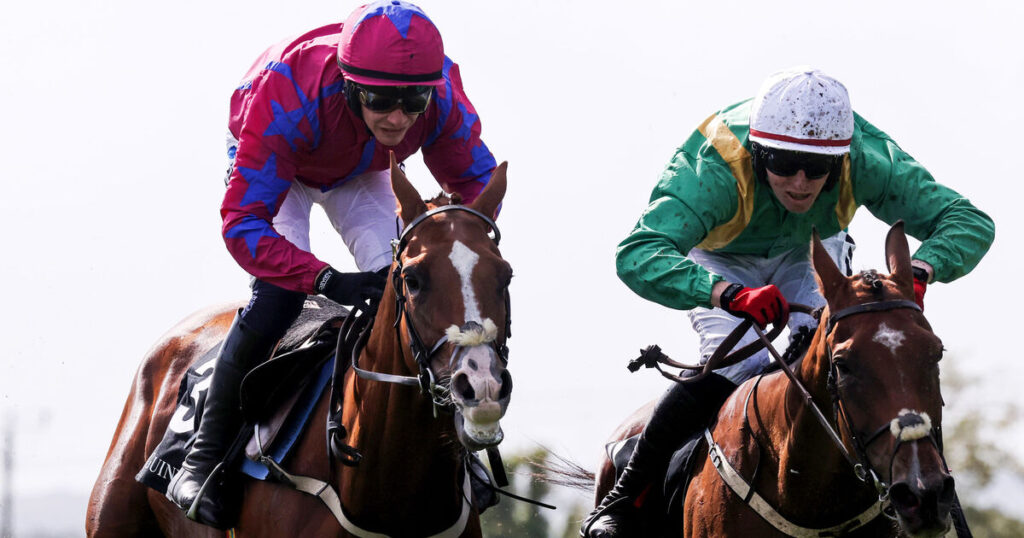 Four-way battle on the cards in Galway Hurdle