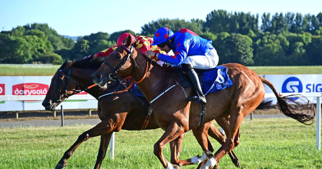 Happy Jacky repeats the feat at Cork 