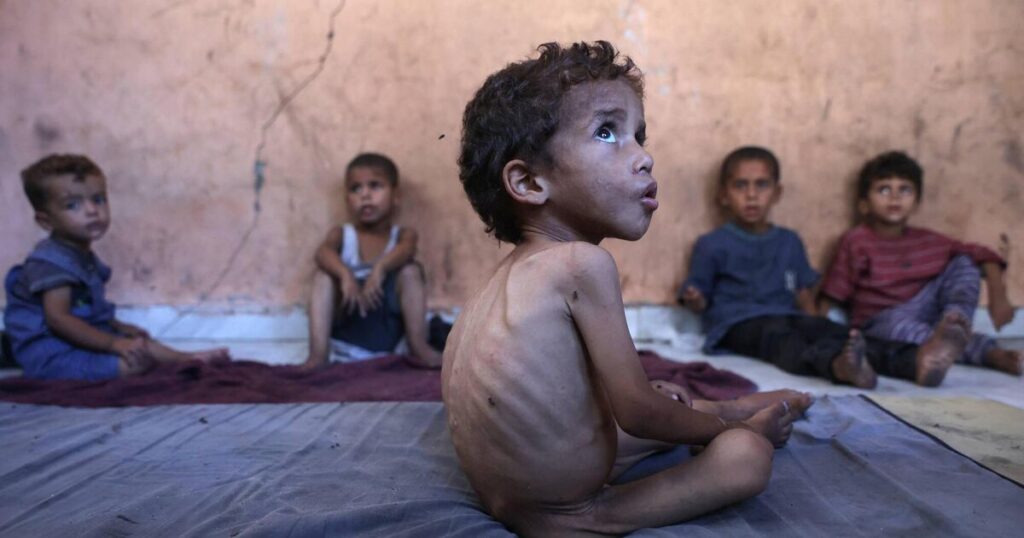 I feed a seagull in my garden — while the children of Gaza starve