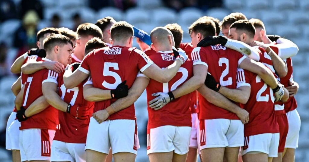Lack of grass pitches for Cork inter-county teams 'mental', says Mark Collins