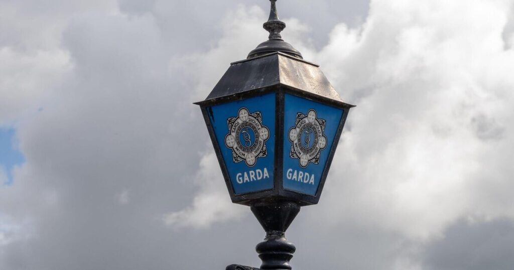 Man and woman, 80s, found dead at house in Cork