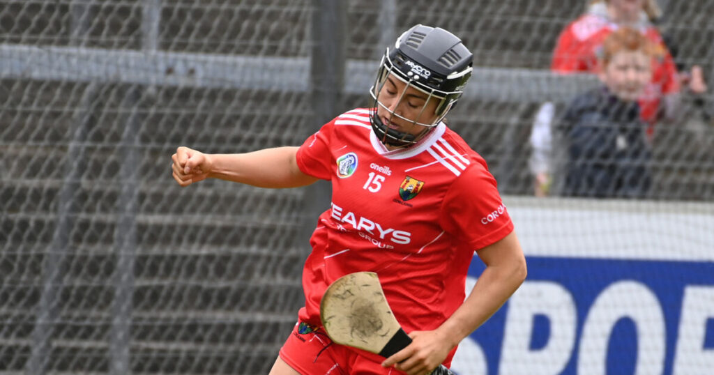 Michael Moynihan: All-Ireland dreams are for someone else now — the Cork camogie players