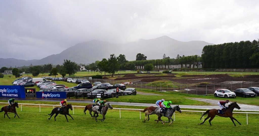 O'Briens dominate opening day in Killarney