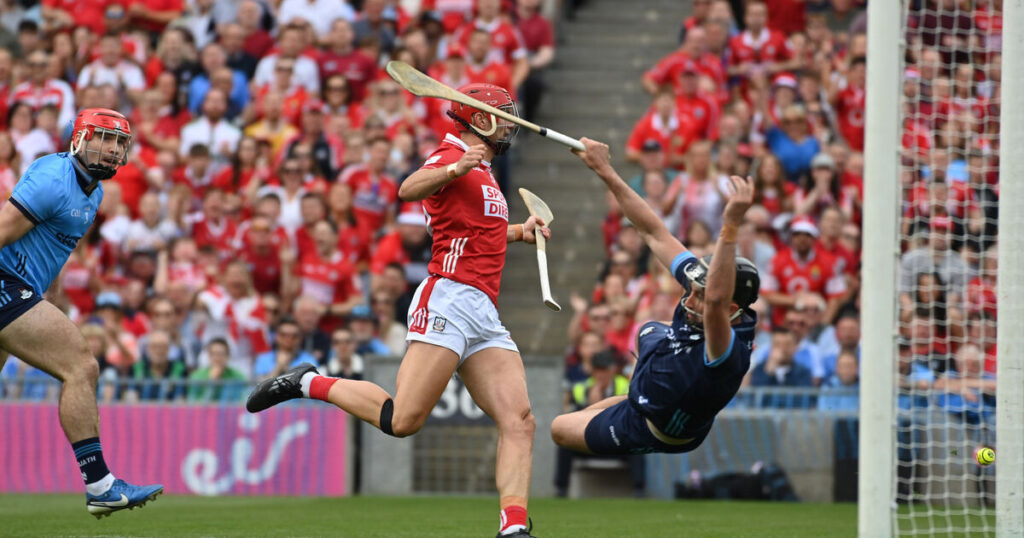Pat Ryan: 'We were favourites for the All-Ireland final last year with the bookies and we didn't win'