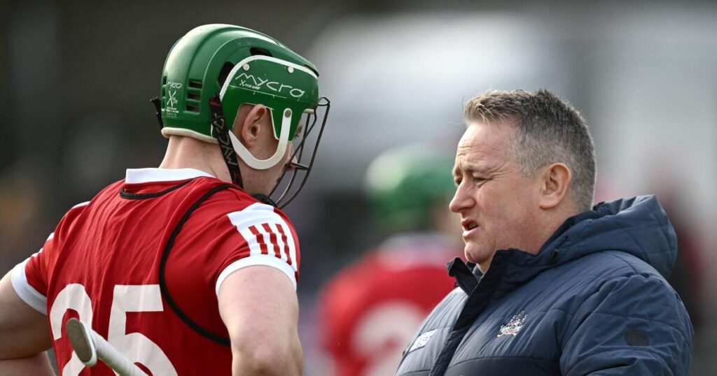 Pat Ryan makes three changes to Cork team for All-Ireland SHC semi-final against Dublin