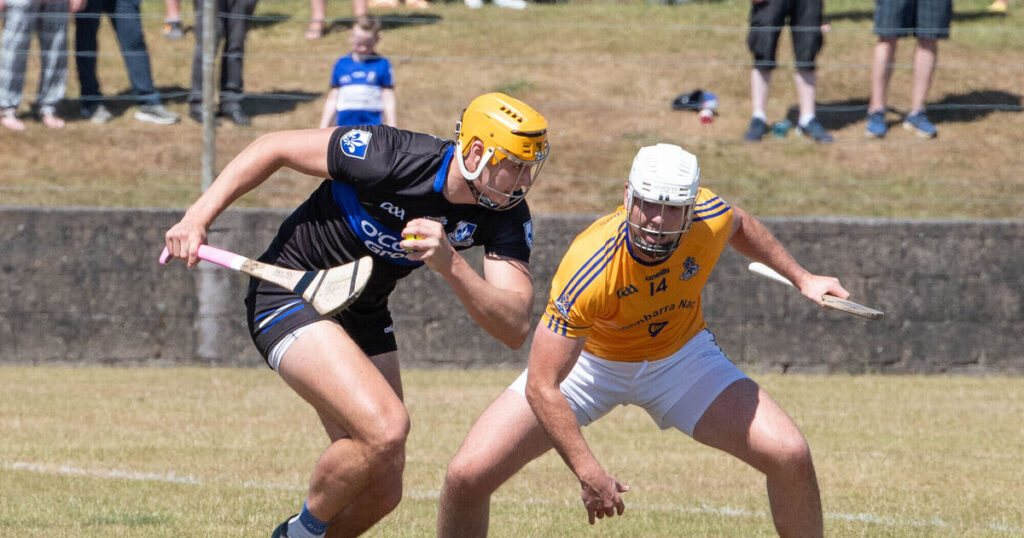 Relentless Sarsfields secure league title at expense of St Finbarr's