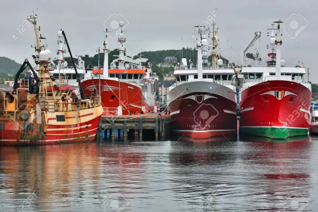 Seafood Alliance ‘disappointed’ with government's large trawler ban