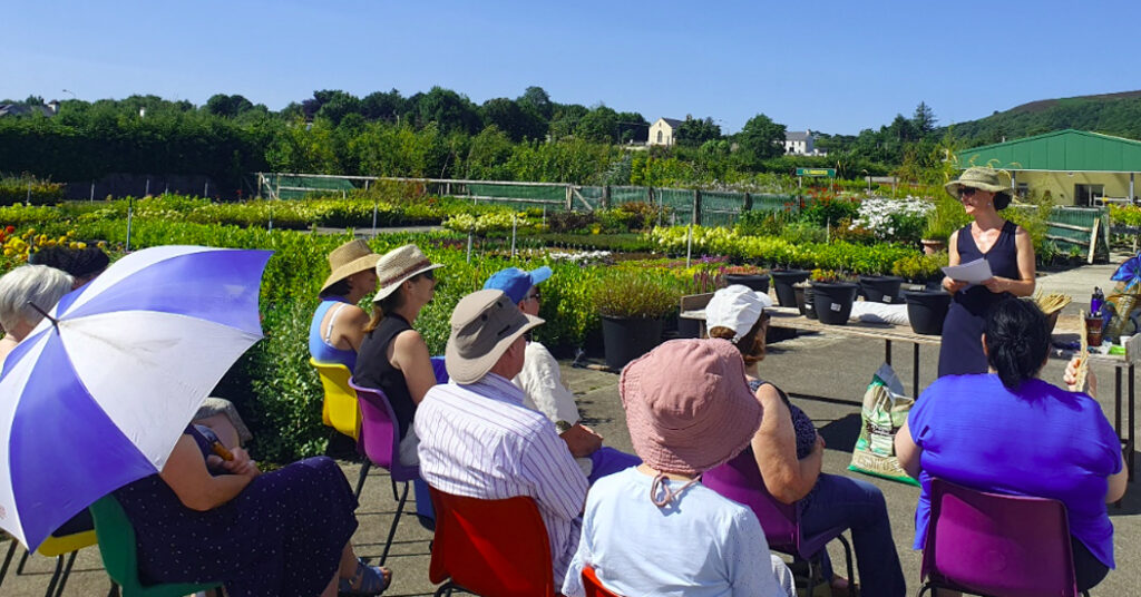 Summer growing workshops bloom in Carndonagh