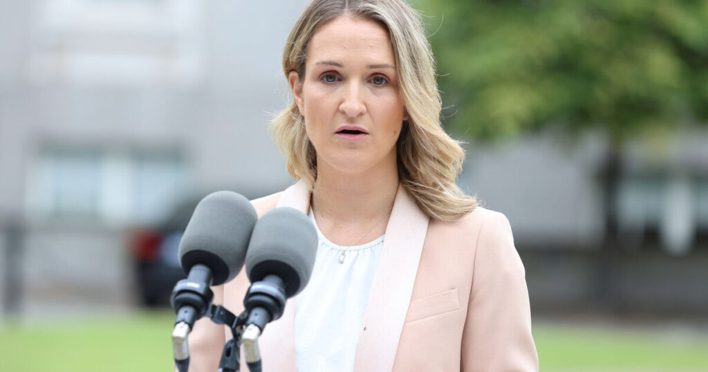 Survivors welcome commission of investigation into handling of sexual abuse in schools