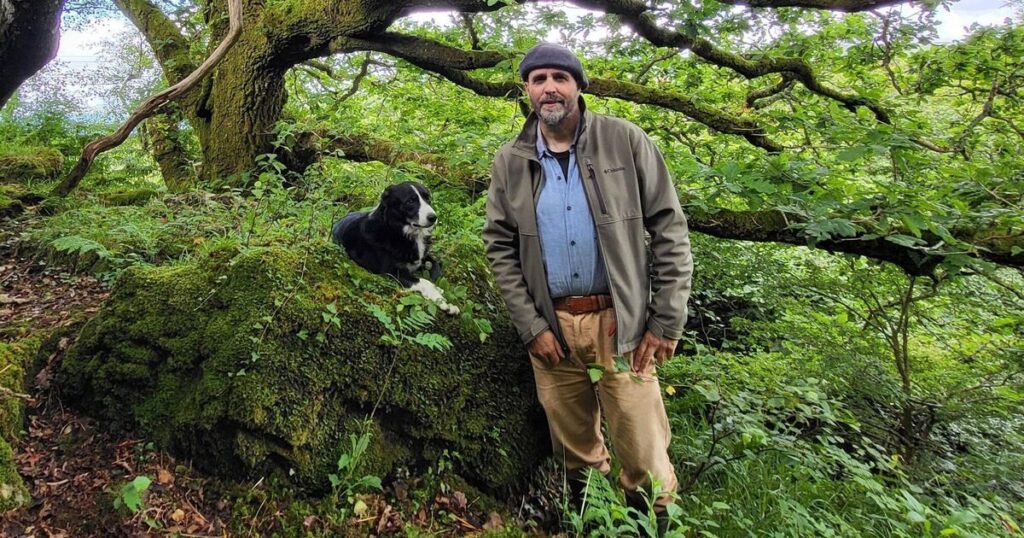 The glories of summer in a West Cork rainforest, by Eoghan Daltun  
