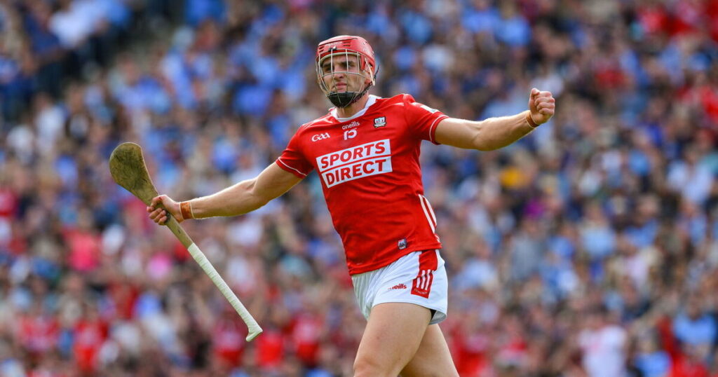 The hurling All-Star winners, as things stand