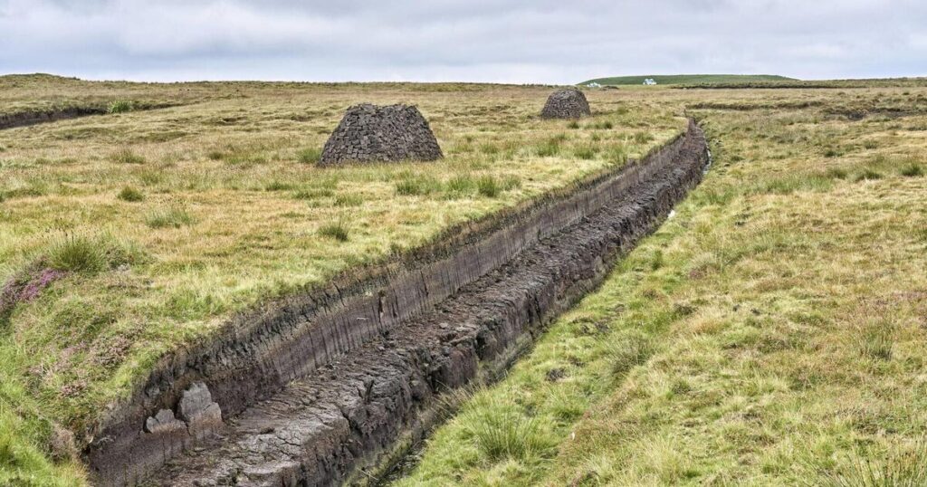 Thirty eight large-scale illegal peat operations currently in operation across Ireland