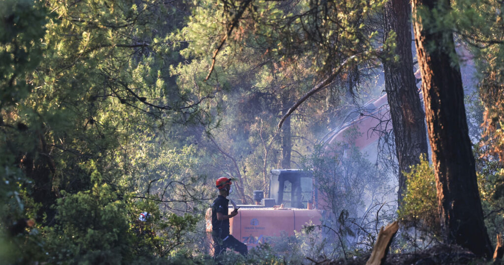 Turkey faces ‘very risky week’ for wildfires