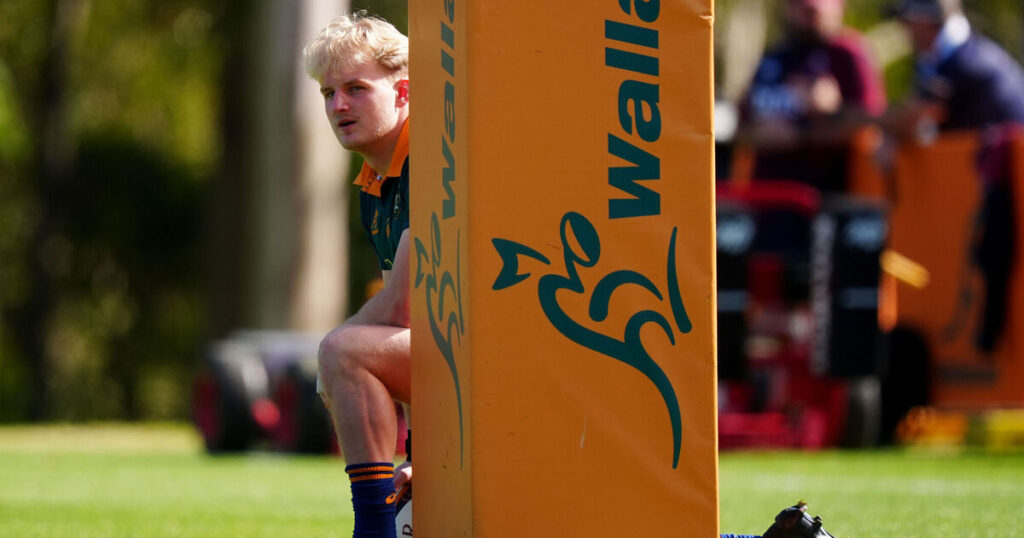 Will Joe Schmidt's dice roll on Tom Lynagh define the series?