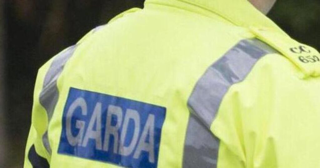 Garda injured while arresting man wielding sword in Dublin
