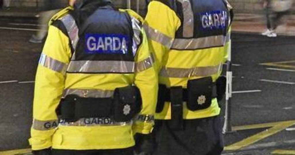 Lies spread on social media led to attack on man in Limerick