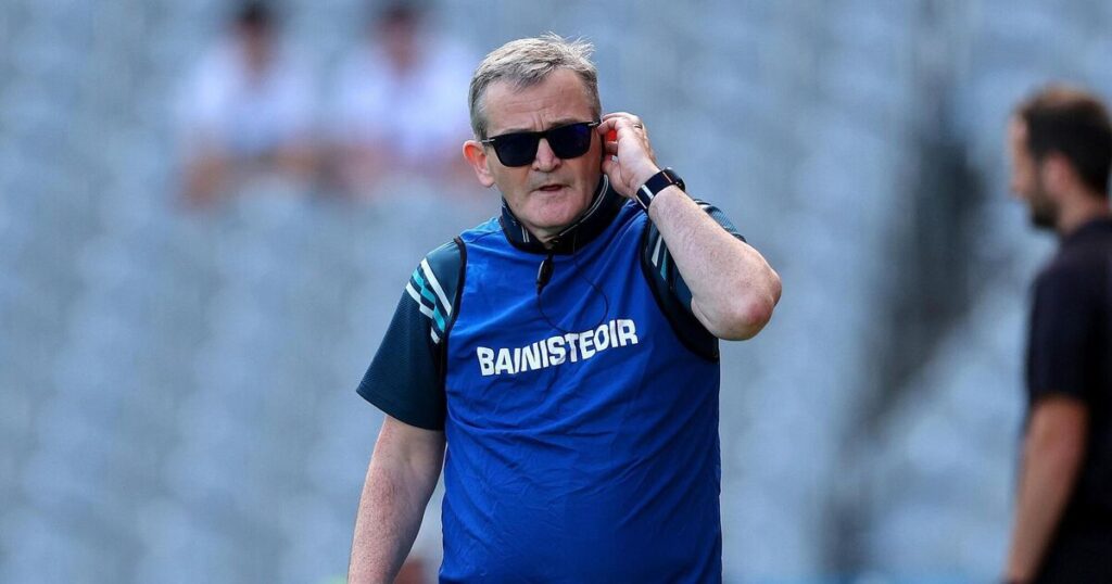 Limerick boss Lee says county board 'knifed players in the back' on seeding issue 