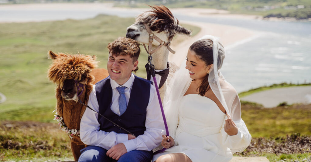 Say 'I do' with an alpaca or two in Donegal's new elopement destination!