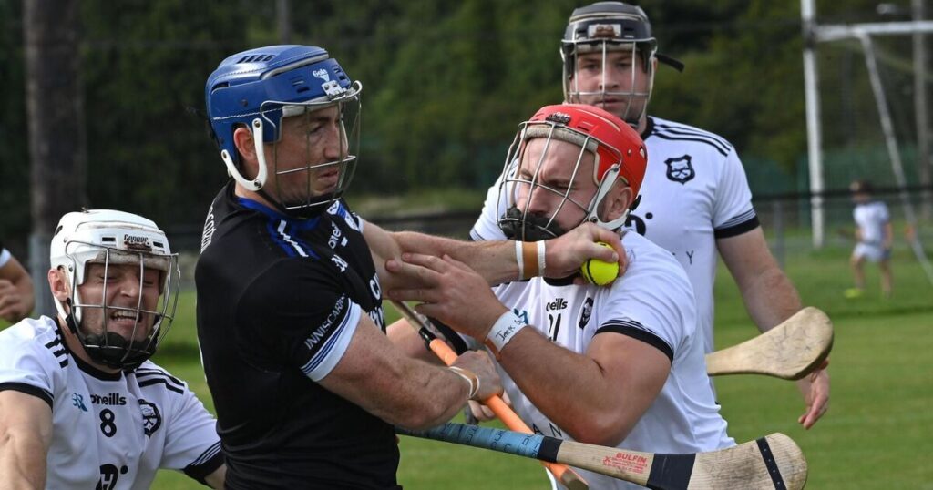 Superb O'Donoghue leads from the back to help Inniscarra past Ballyhea